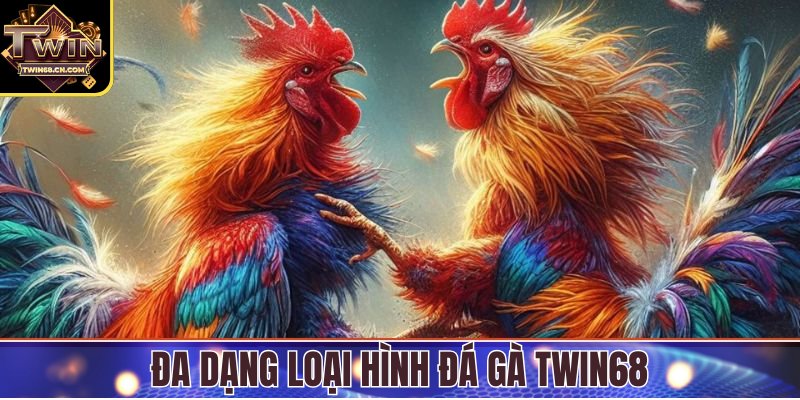 Đa dạng loại hình đá gà Twin68 để người chơi lựa chọn