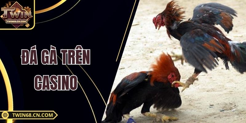 Đá Gà Trên Casino - Trải Nghiệm Giải Trí Thú Vị Cho Bạn Đá Gà Trên Casino - Trải Nghiệm Giải Trí Thú Vị Cho Bạn