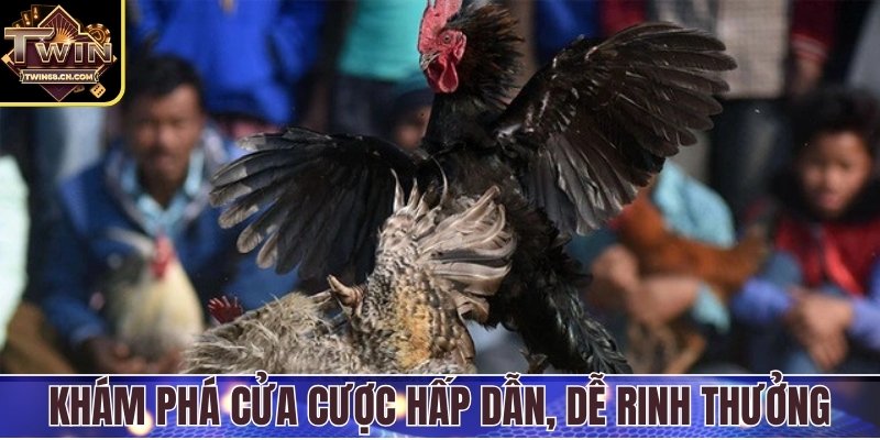 Khám phá ngay các cửa cược hấp dẫn, dễ dàng rinh thưởng