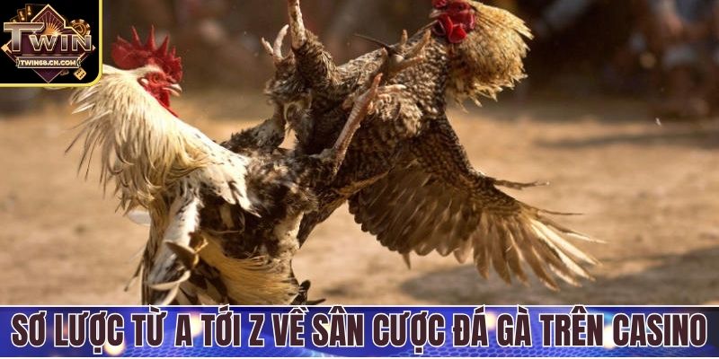 Đá Gà Trên Casino - Trải Nghiệm Giải Trí Thú Vị Cho Bạn Sơ lược từ a tới z về sân cược đá gà trên casino