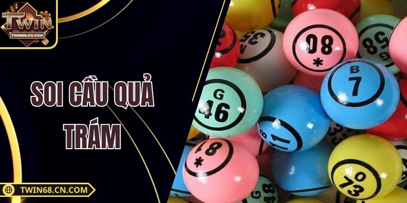 Soi Cầu Quả Trám – Công Cụ Bắt Số Vàng Không Thể Bỏ Qua